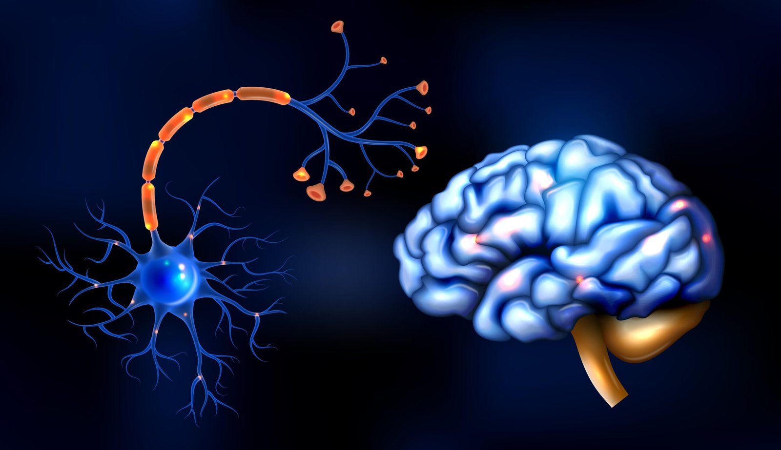 neuronas memoria beneficios ejercicio físico soluciones inteligentes