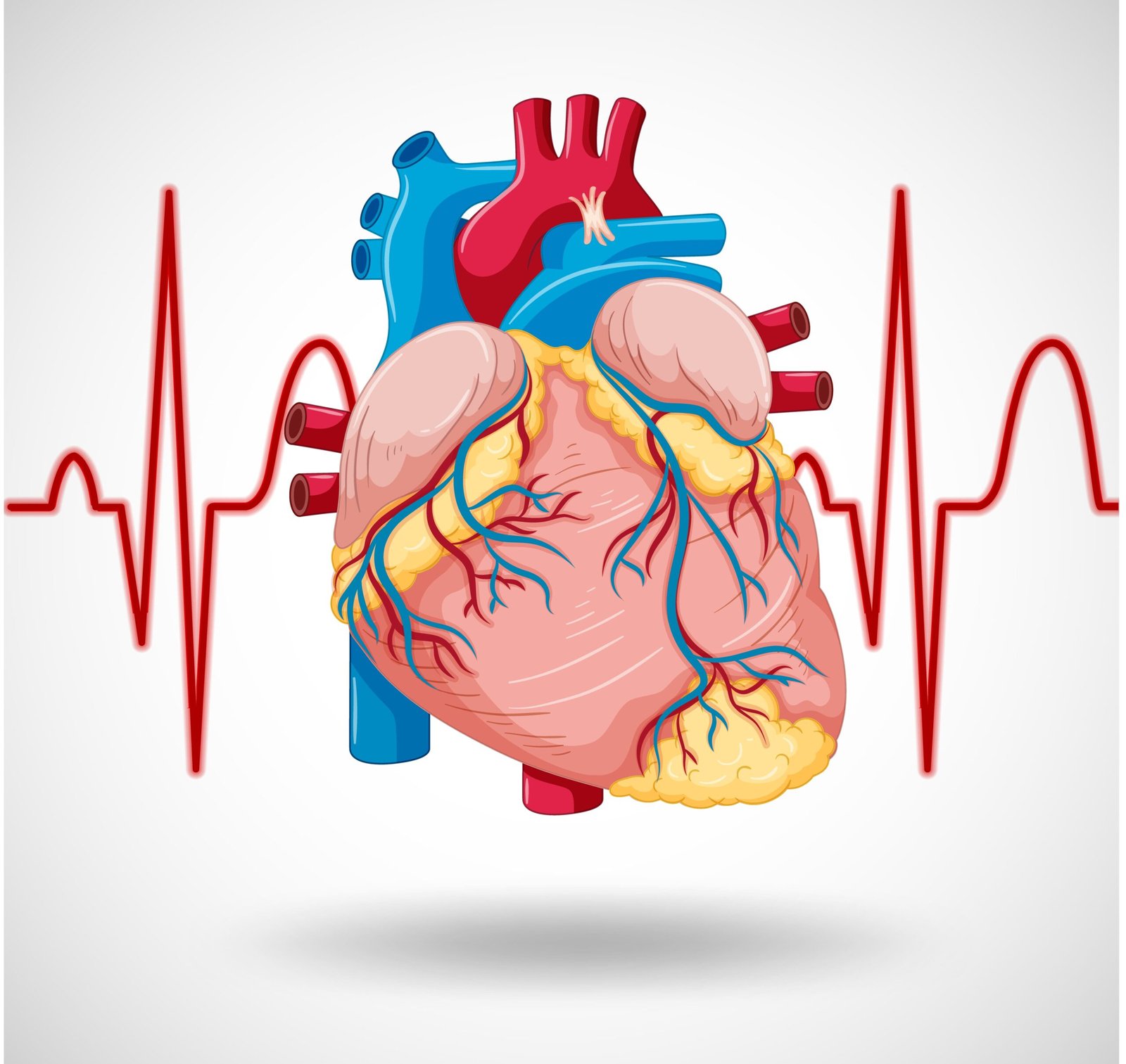 chile cardiovascular soluciones inteligentes