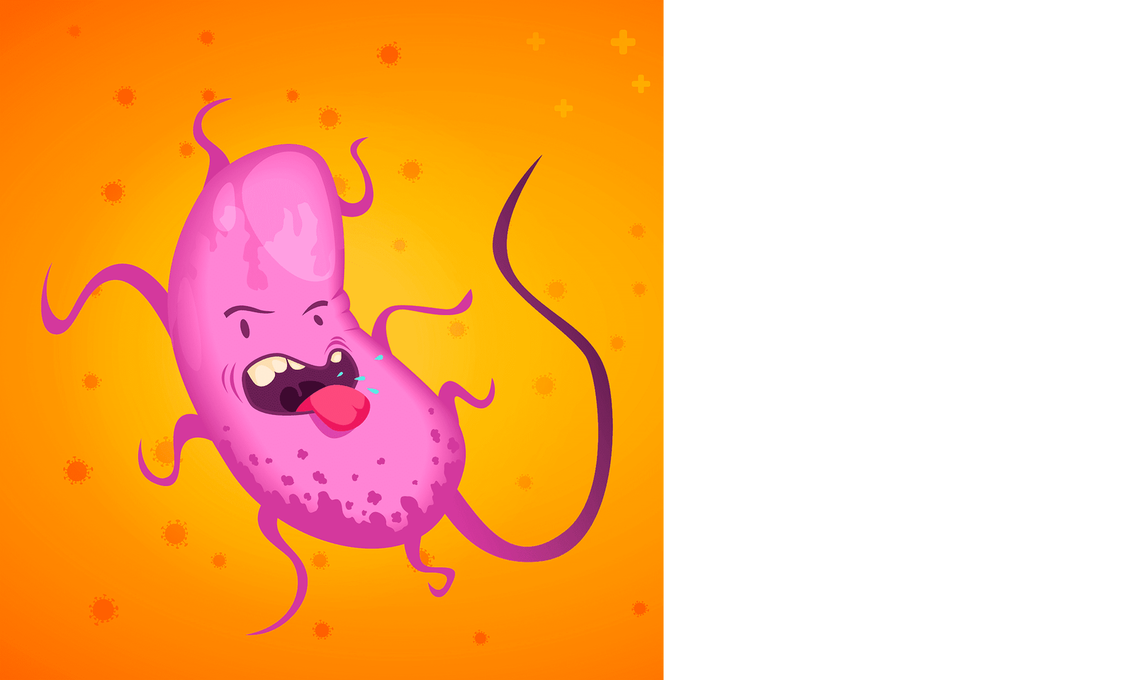 bacteria microbiota intestinal soluciones inteligentes