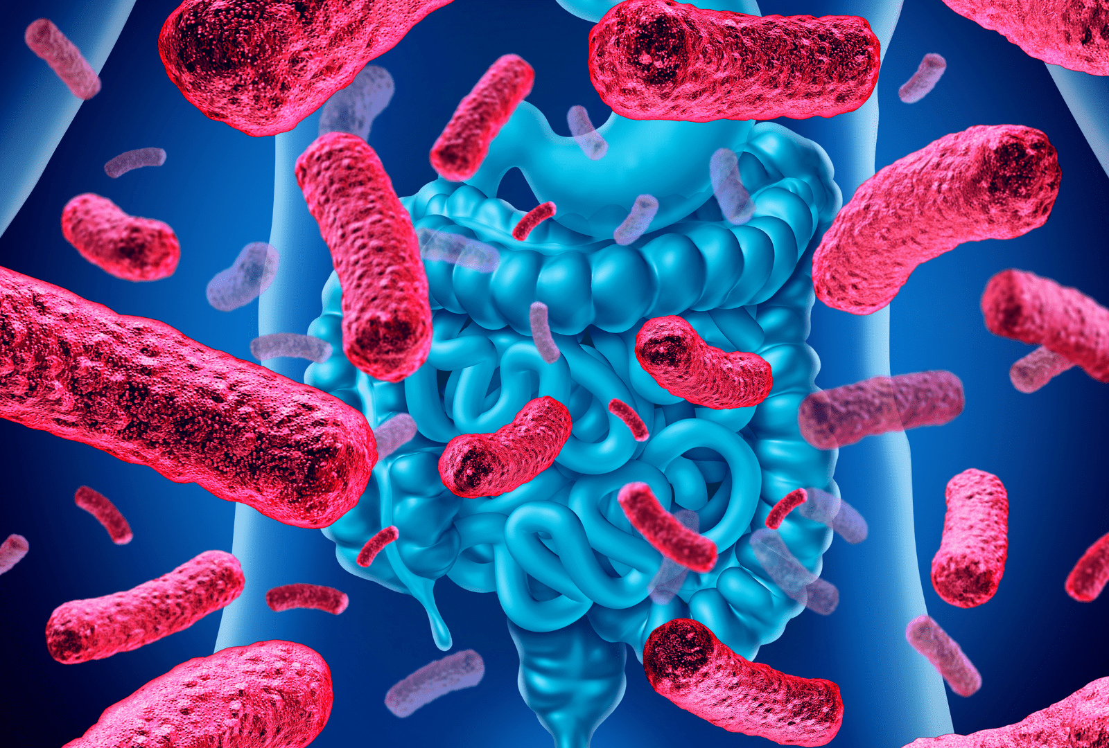 efectos de la suplementación con omega 3 en la microbiota intestinal soluciones inteligentes