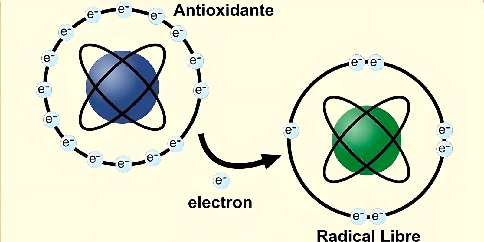 propiedades antioxidantes de la avena protege tu cuerpo de los radicales libres soluciones inteligentes solucionint