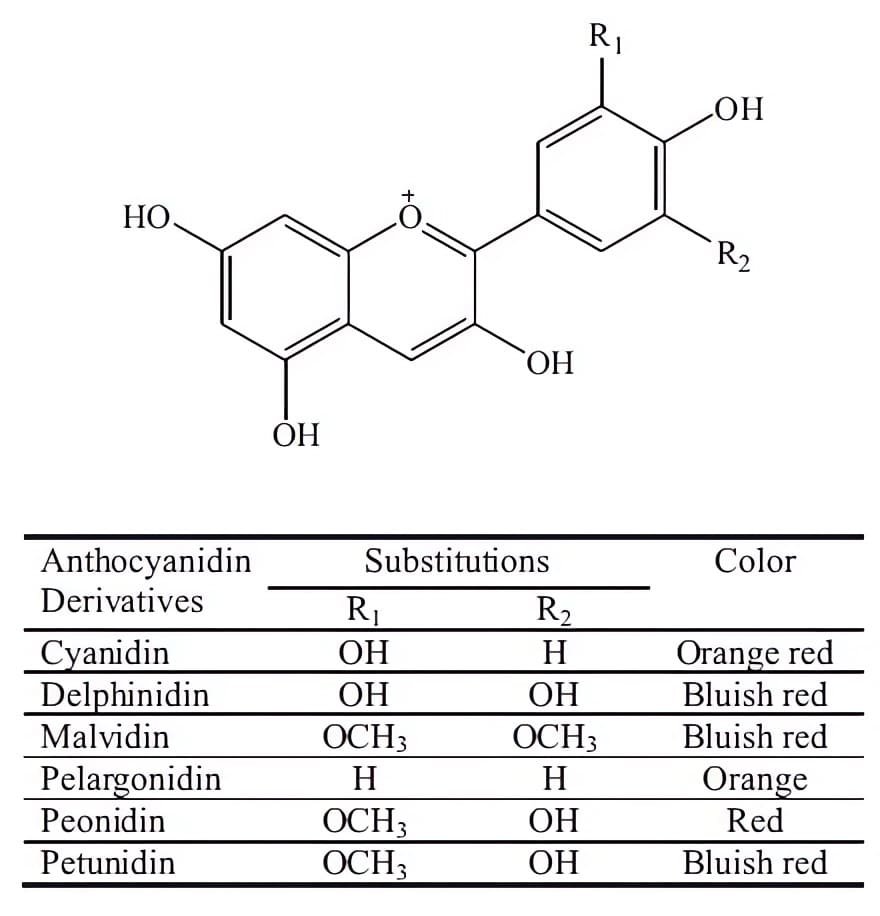 seis estructuras antocianidinas uvas