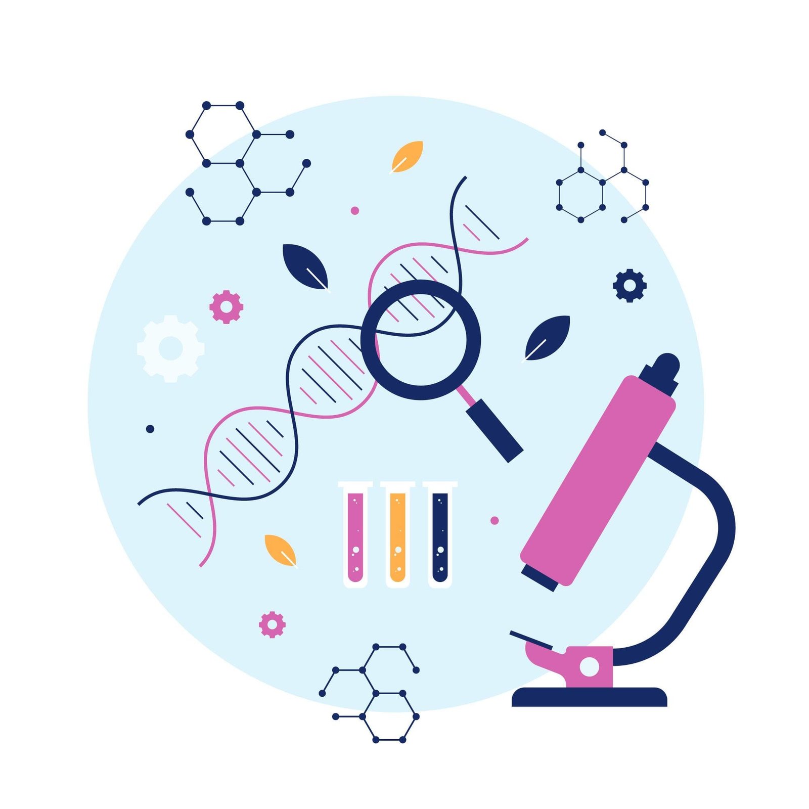 concepto epigenética células genética músculo ADN homeostasis soluciones inteligentes solucionint