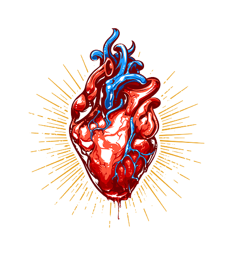 corazón homeostasis soluciones inteligentes solucionint