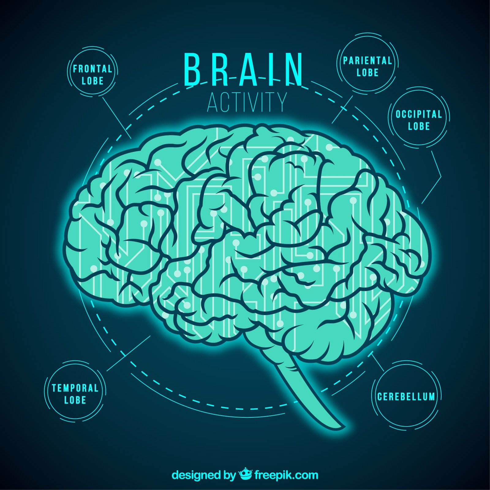 ejercicio físico cerebro mente señalización de receptores soluciones inteligentes solucionint