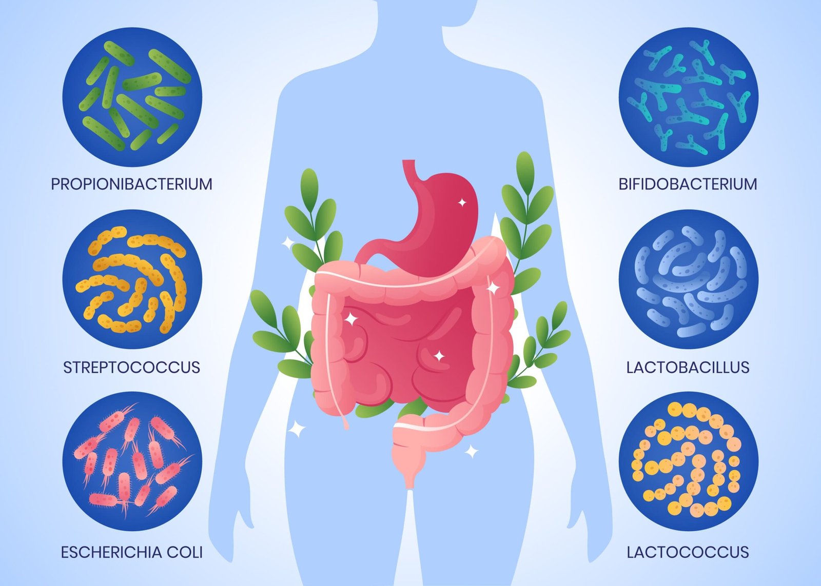 el poder de la simbiosis cómo el ejercicio físico beneficia a tu microbiota intestinal soluciones inteligentes solucionint