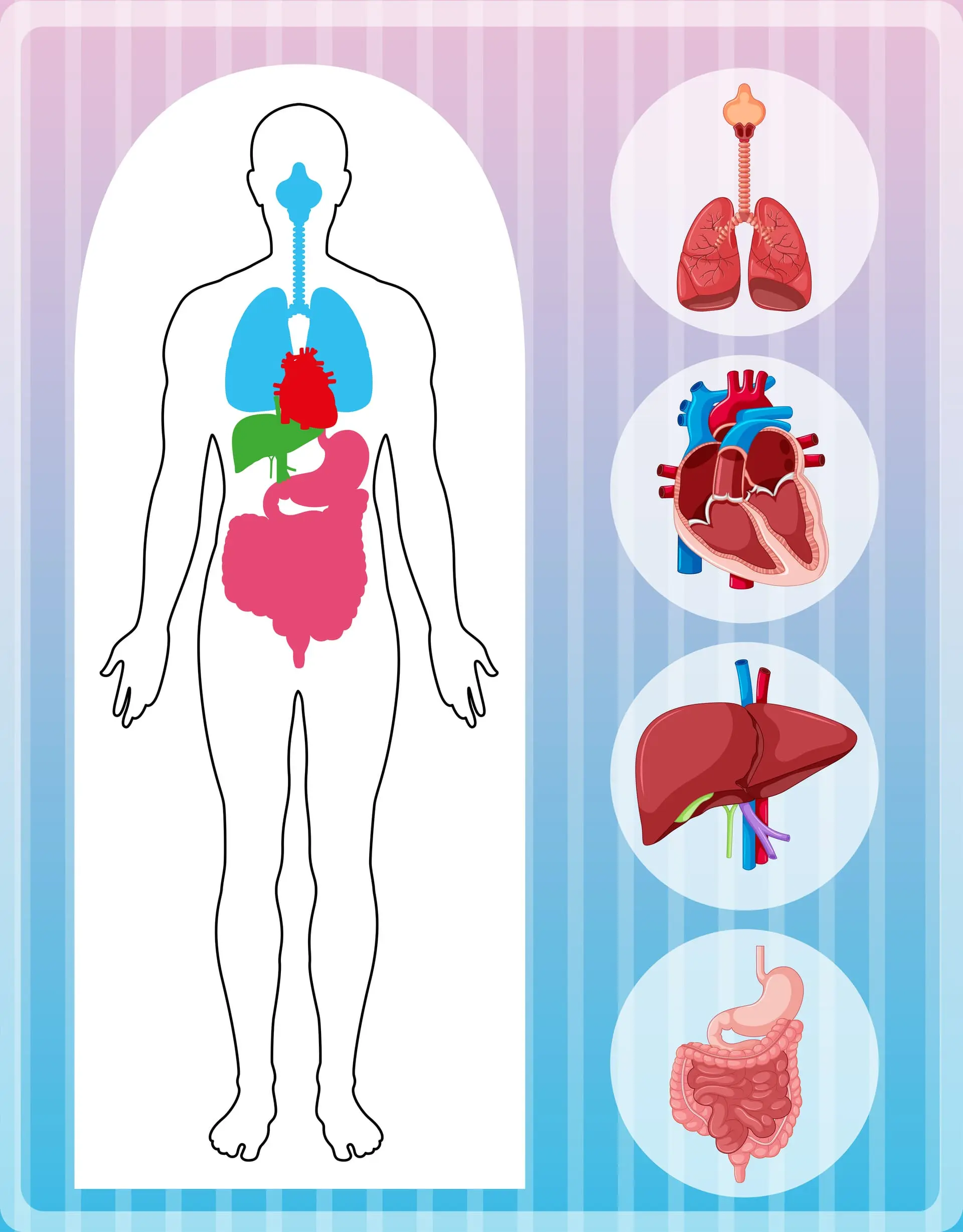 metabolismo síndrome metabólico soluciones inteligentes solucionint